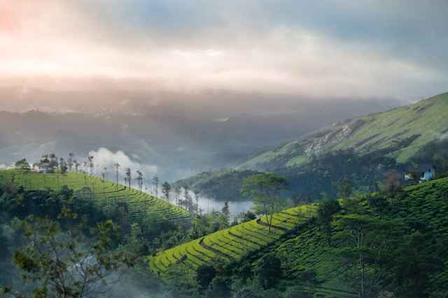 Vagamon Tour from Coimbatore